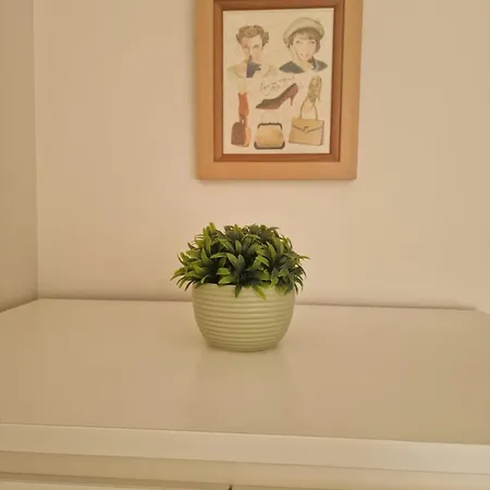 Apartment Jovial Plaza *